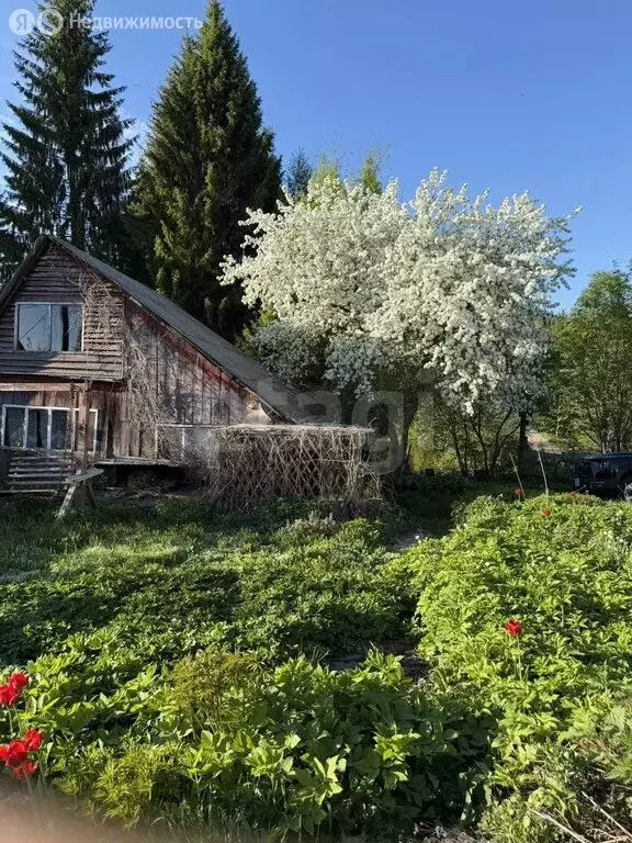 Дом в Пермский муниципальный округ, СНТ Лесной (21 м) - Фото 2
