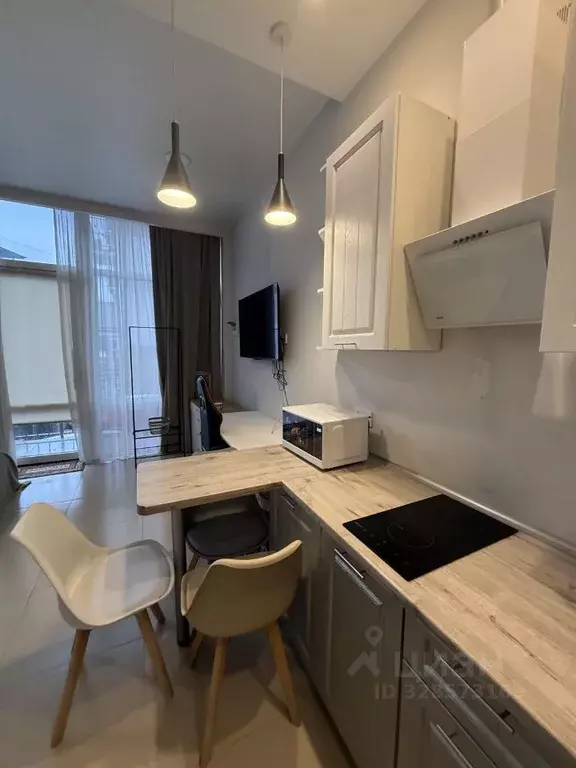 Студия Краснодарский край, Сочи ул. Высокогорная, 47 (24.8 м) - Фото 2