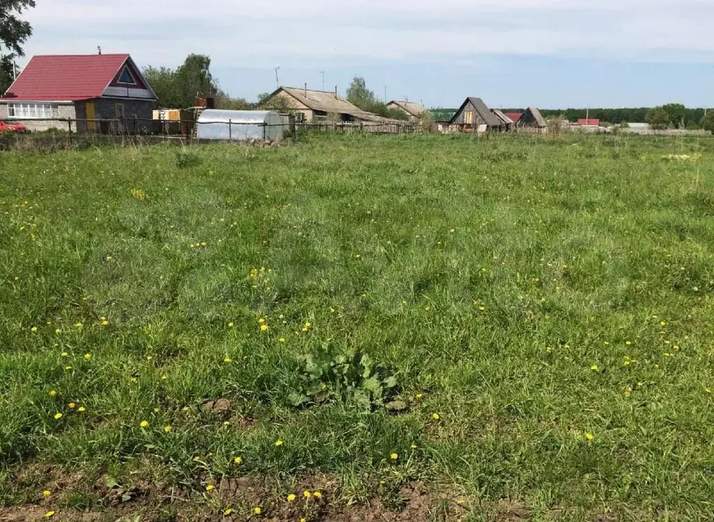 Земельный участок ижс уфа. Деревня Баранцево. Баранцево деревня Уфа. Дорогино Иглинский район. Деревня Дорогино.