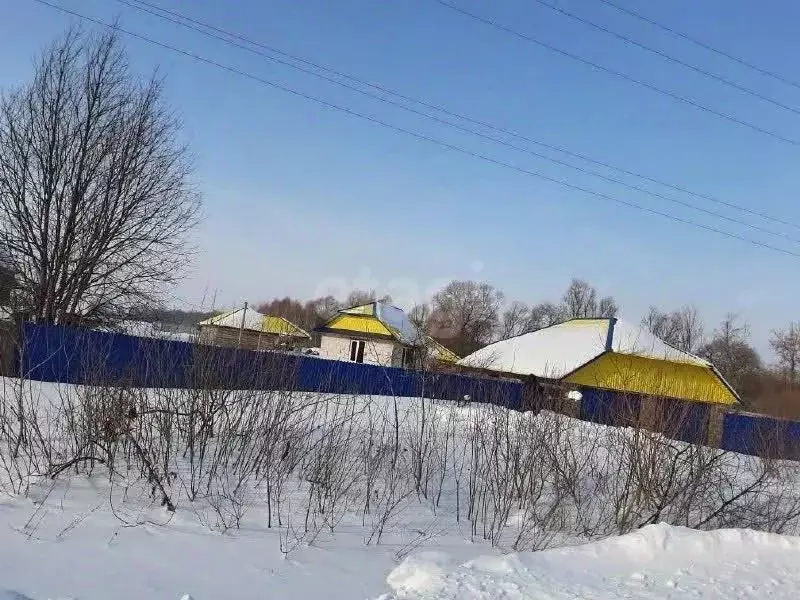 Дом в Башкортостан, Чишминский район, Новотроицкий сельсовет, д. ... - Фото 1