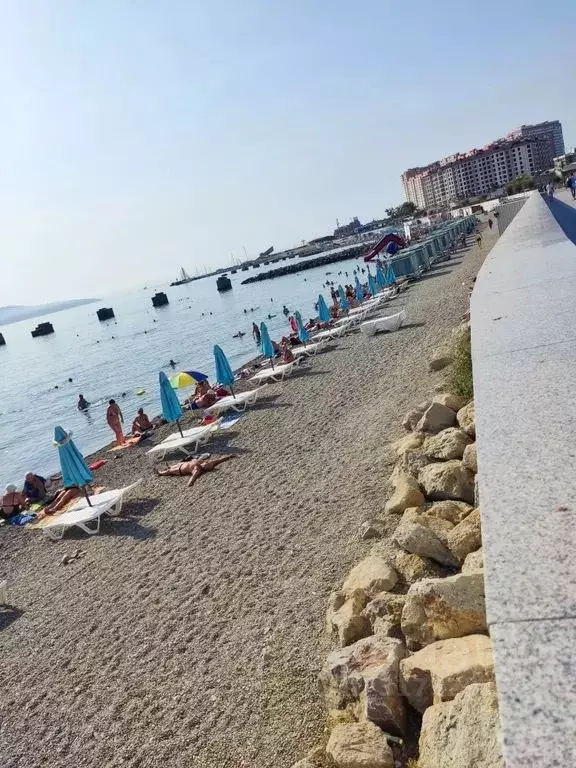 1-к кв. Краснодарский край, Новороссийск Суворовская ул., 52 (32.0 м) - Фото 1