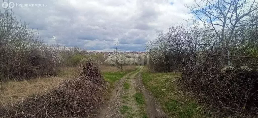 Участок в Губкин, СТ Журавушка (6 м) - Фото 0