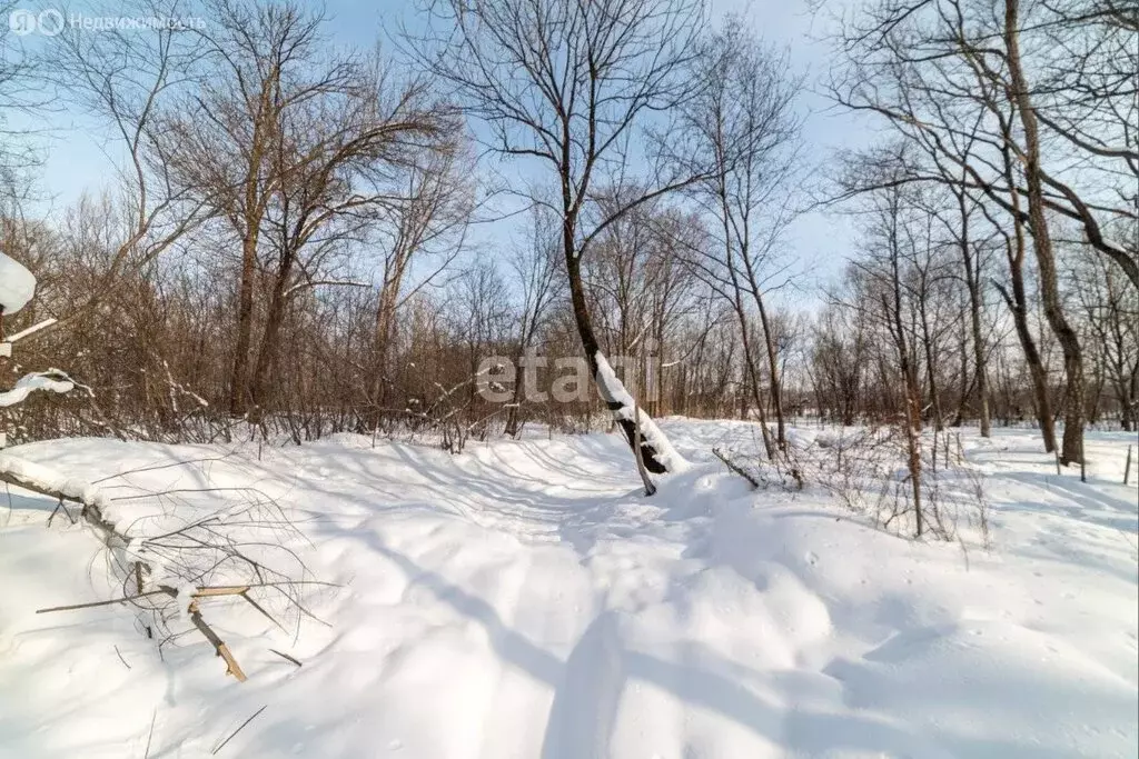 Участок в Хабаровский район, село Корсаково-2 (10 м) - Фото 0