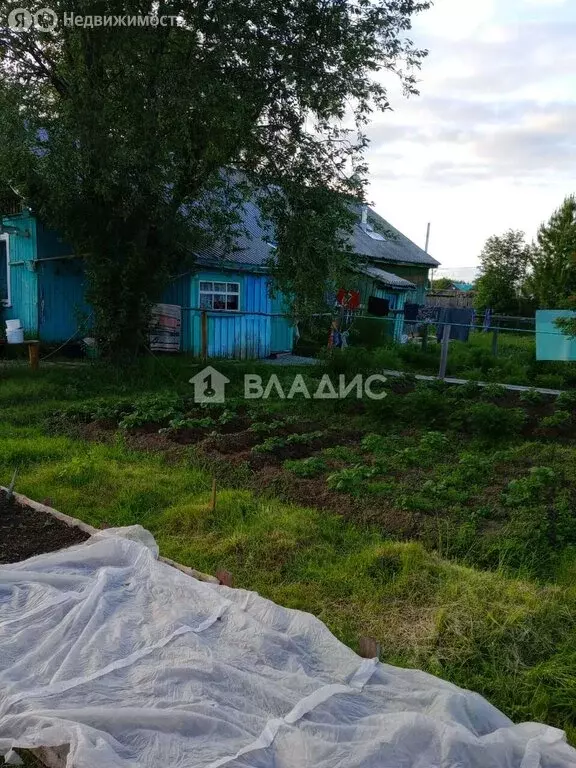 3-комнатная квартира: посёлок Илья-Шор, Лесная улица, 21 (53.4 м) - Фото 1