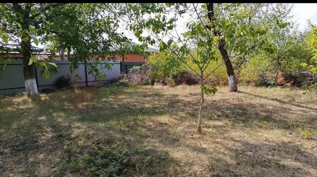 Участок в Ростовская область, Новочеркасск ул. Ромашковая (6.0 сот.) - Фото 1