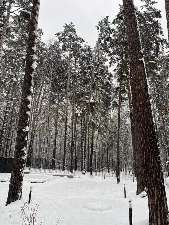 Дом в Новосибирская область, Новосибирск Дачное ш. (31 м) - Фото 2