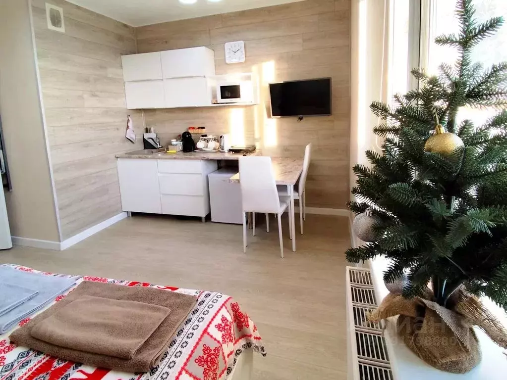 Студия Челябинская область, Магнитогорск Лесопарковая ул., 93/1 (26.0 ... - Фото 1