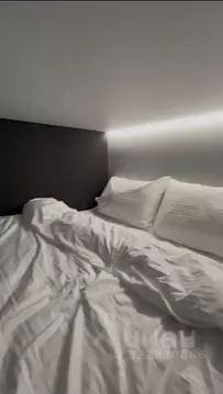 Студия Санкт-Петербург ул. Чехова, 4Б (18.0 м)