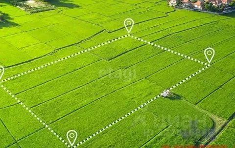 Участок в Пермский край, Добрянский муниципальный округ, д. Гари  ...