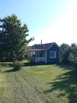 Дом в Псковская область, Гдовский район, Юшкинская волость, д. Речицы ...