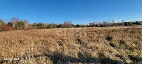 Участок в Свердловская область, Нижний Тагил Радужная ул., 26 (6.0 ...