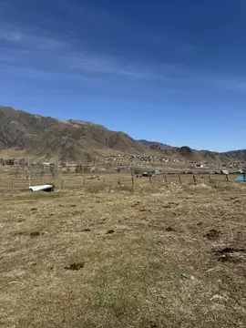 Участок в Алтай, с. Онгудай ул. Советская (15.0 сот.)