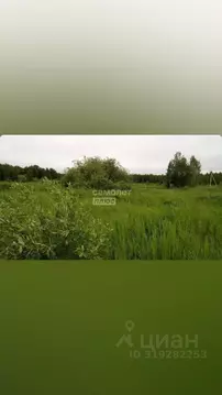 Участок в Тюменская область, Нижнетавдинский район, Геофизик 2 СНТ  ...