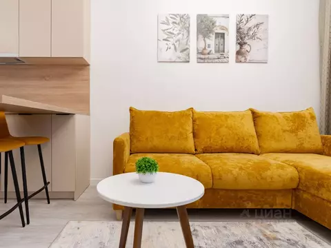 Студия Санкт-Петербург Дальневосточный просп., 19к1 (25.0 м)