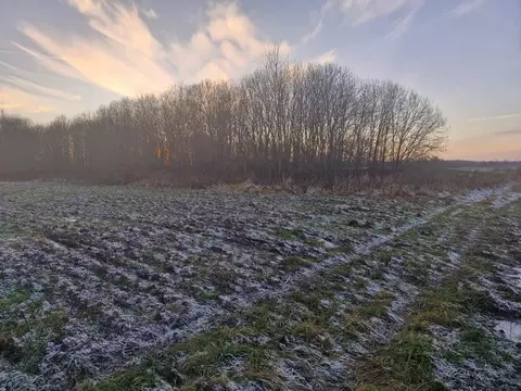 Участок в Московская область, Ступино городской округ, д. Ляхово  ...