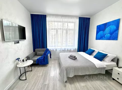 Студия Пермский край, Пермь ул. Куйбышева, 103 (23.0 м)