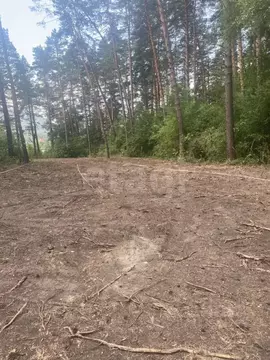 Участок в Алтай, Майминский район, с. Манжерок  (10.0 сот.)