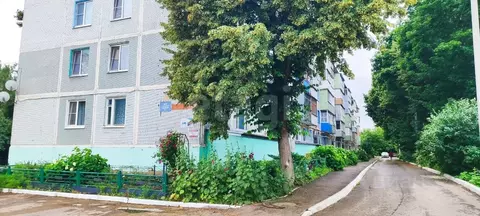 3-к кв. Тульская область, Плавск Октябрьская ул., 4А (62.2 м)