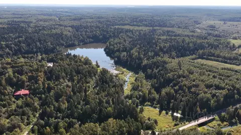 Участок в Московская область, Дмитровский муниципальный округ, Усадьбы ...