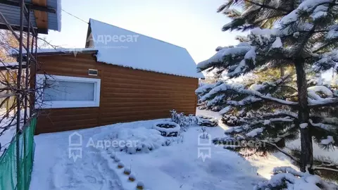 Дом в Волгоградская область, Волгоград Наука СНТ,  (27 м)