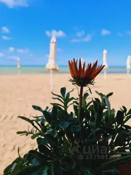 1-к кв. Крым, Евпатория ул. Симферопольская, 2Ф (63.0 м)