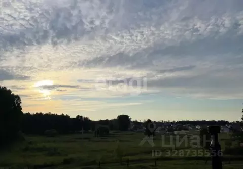 Участок в Алтайский край, Первомайский район, с. Санниково ул. ...