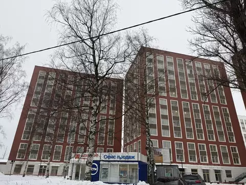 Студия Санкт-Петербург Пискаревский просп., 142к1 (20.2 м)