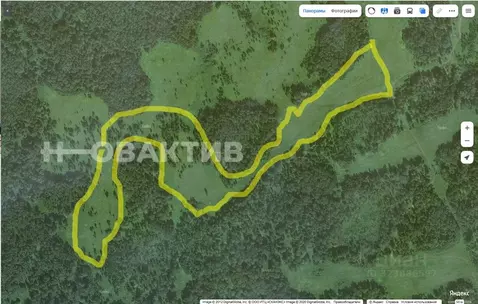 Участок в Новосибирская область, Новосибирск  (1200.0 сот.)