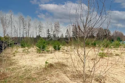 Участок в Московская область, Одинцовский городской округ, Мэдисон ...