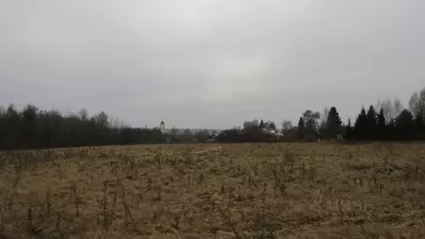 Участок в Московская область, Рузский муниципальный округ, с. ...