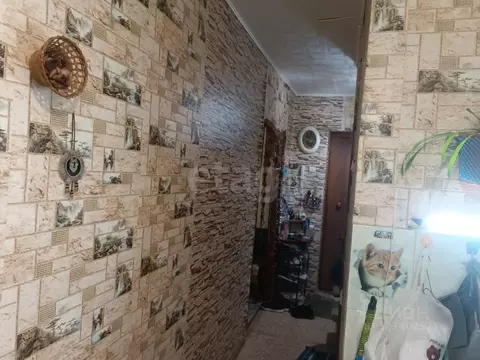 1-к кв. Новосибирская область, Бердск Боровая ул., 96 (27.9 м)