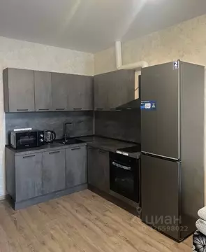 Студия Тюменская область, Тюмень ул. Павла Никольского, 10к1 (26.0 м)