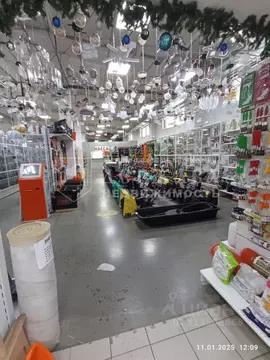 Помещение свободного назначения в Кемеровская область, Топки Горная ...