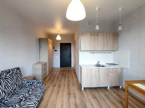 Студия Московская область, Балашиха Салтыковка мкр, Школьная ул., 9 ...