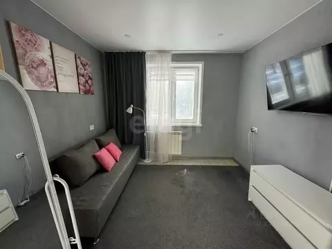 Студия Ярославская область, Ярославль ул. Блюхера, 86/9 (21.8 м)