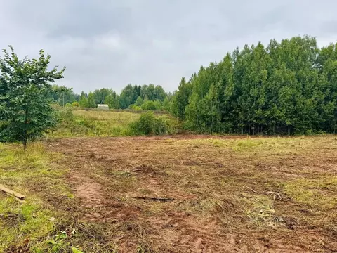 Участок в Пермский край, Нытвенский муниципальный округ, Нива-2 СНТ 94 ...