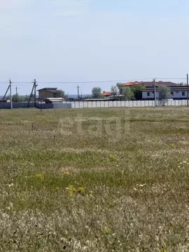 Участок в Крым, Сакский район, с. Молочное  (100.0 сот.)