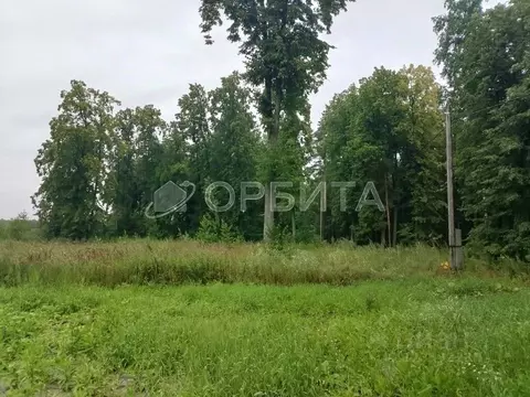 Участок в Тюменская область, Нижнетавдинский муниципальный округ, ...