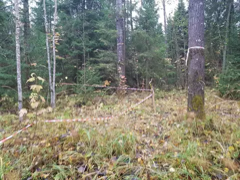 Участок в Вологодская область, Подспорье садоводческое товарищество  ...