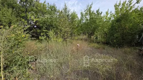 Участок в Волгоградская область, Среднеахтубинский район, ...