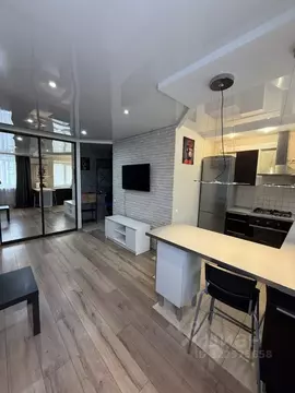 1-к кв. Нижегородская область, Нижний Новгород ул. Максима Горького, ...