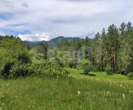 Участок в Алтай, Чемальский район, пос. Усть-Сема  (4900.0 сот.)