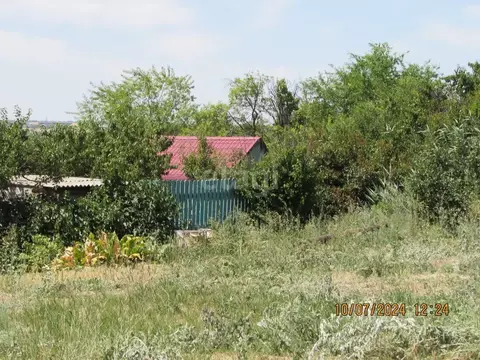Участок в Волгоградская область, Волгоград Мичуринец СНТ, 74 (15.0 ...