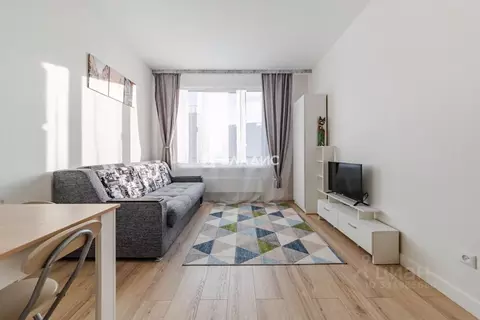 Студия Санкт-Петербург просп. Крузенштерна, 4с1 (21.0 м)