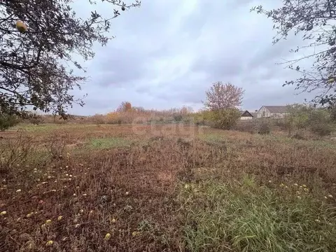 Участок в Белгородская область, Корочанский район, Бехтеевское с/пос, ...