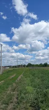 Участок в Воронежская область, Рамонский район, Новоживотинновское ...