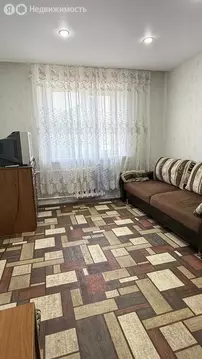 5к в 6-комнатной квартире (2.48 м)