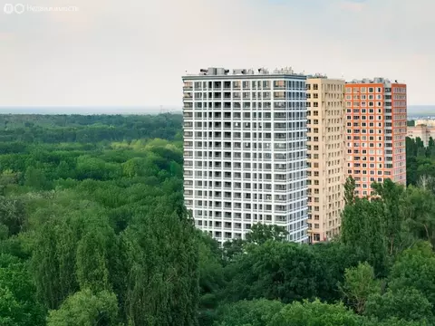 3-комнатная квартира: Воронеж, улица Ломоносова, 116 (97.58 м)