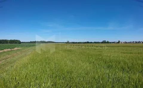 Участок в Тюменская область, Тюменский муниципальный округ, Майское ...