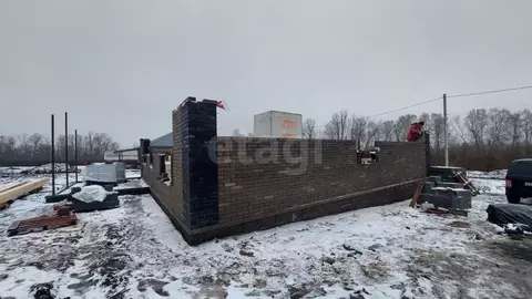 Дом в Белгородская область, Строитель Яковлевский городской округ, ул. ...